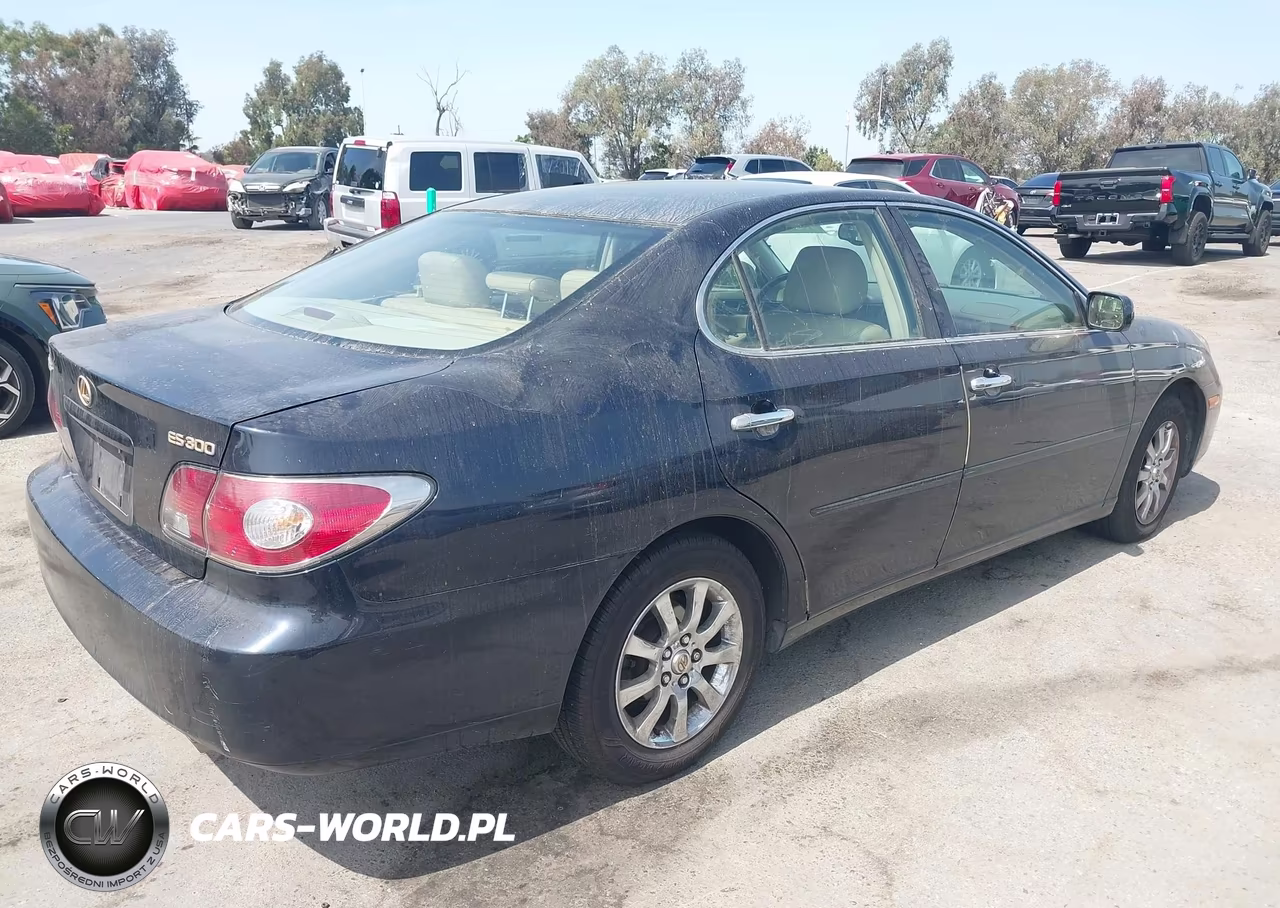 2002 Lexus Es 300 VIN:JTHBF30G025013695 - 4
