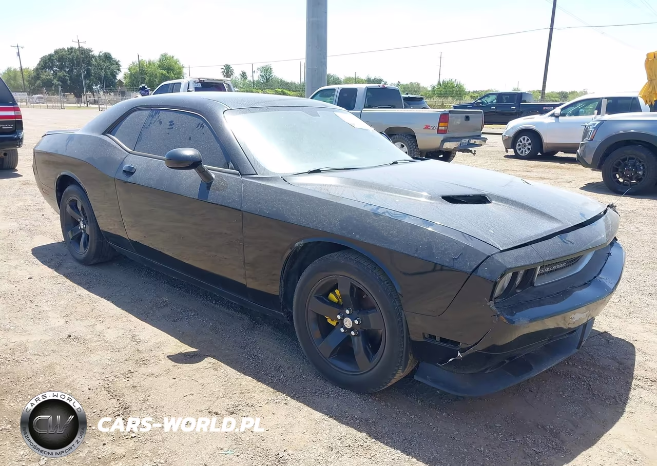 DODGE CHALLENGER VIN:2C3CDYAG4DH561917 - 1