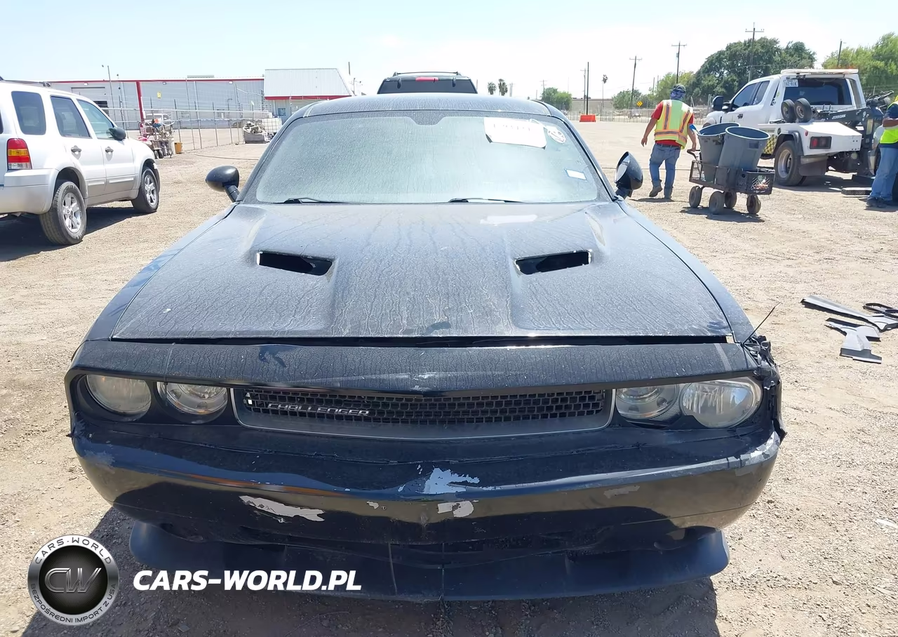 DODGE CHALLENGER VIN:2C3CDYAG4DH561917 - 12