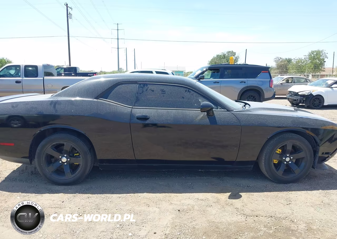 DODGE CHALLENGER VIN:2C3CDYAG4DH561917 - 13