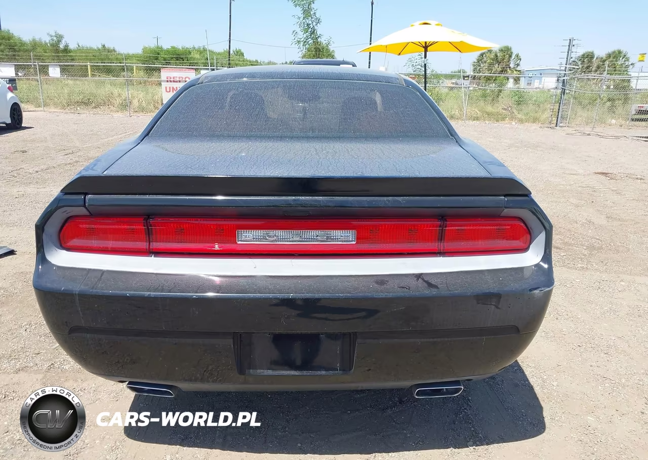 DODGE CHALLENGER VIN:2C3CDYAG4DH561917 - 16