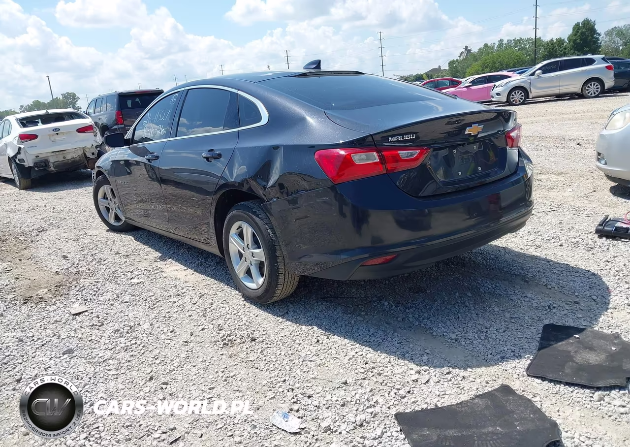 2023 Chevrolet Malibu Fwd 1Lt VIN:1G1ZD5ST4PF181121 - 3