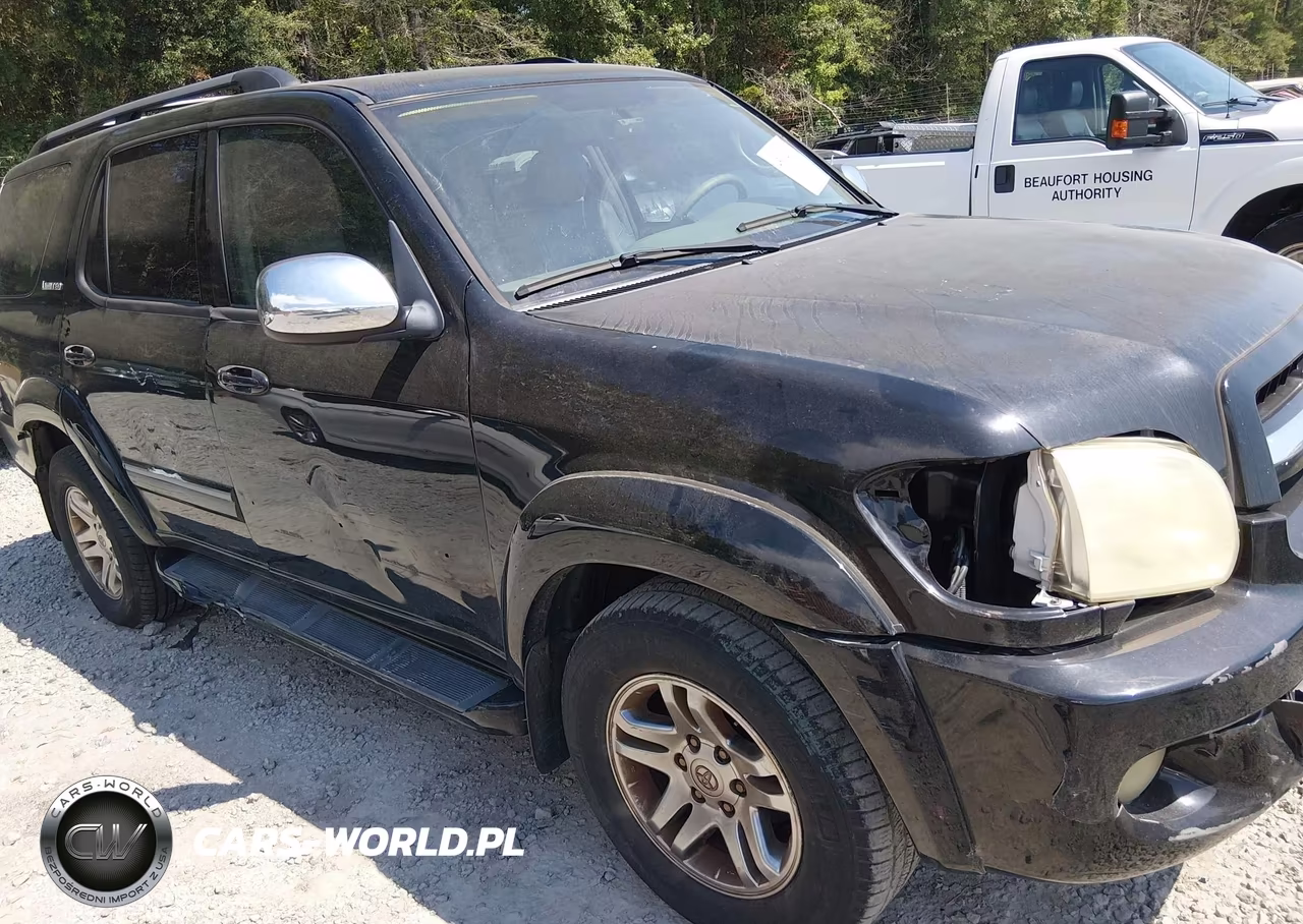 2007 Toyota Sequoia Limited VIN:5TDZT38AX7S299565 - 19