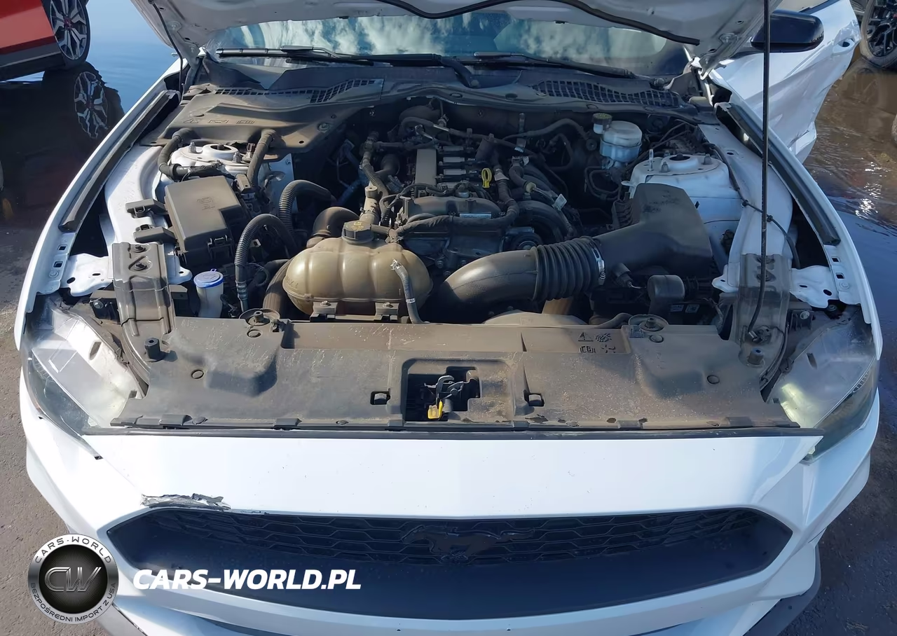 2021 Ford Mustang Ecoboost Fastback VIN:1FA6P8TH5M5106898 - 10