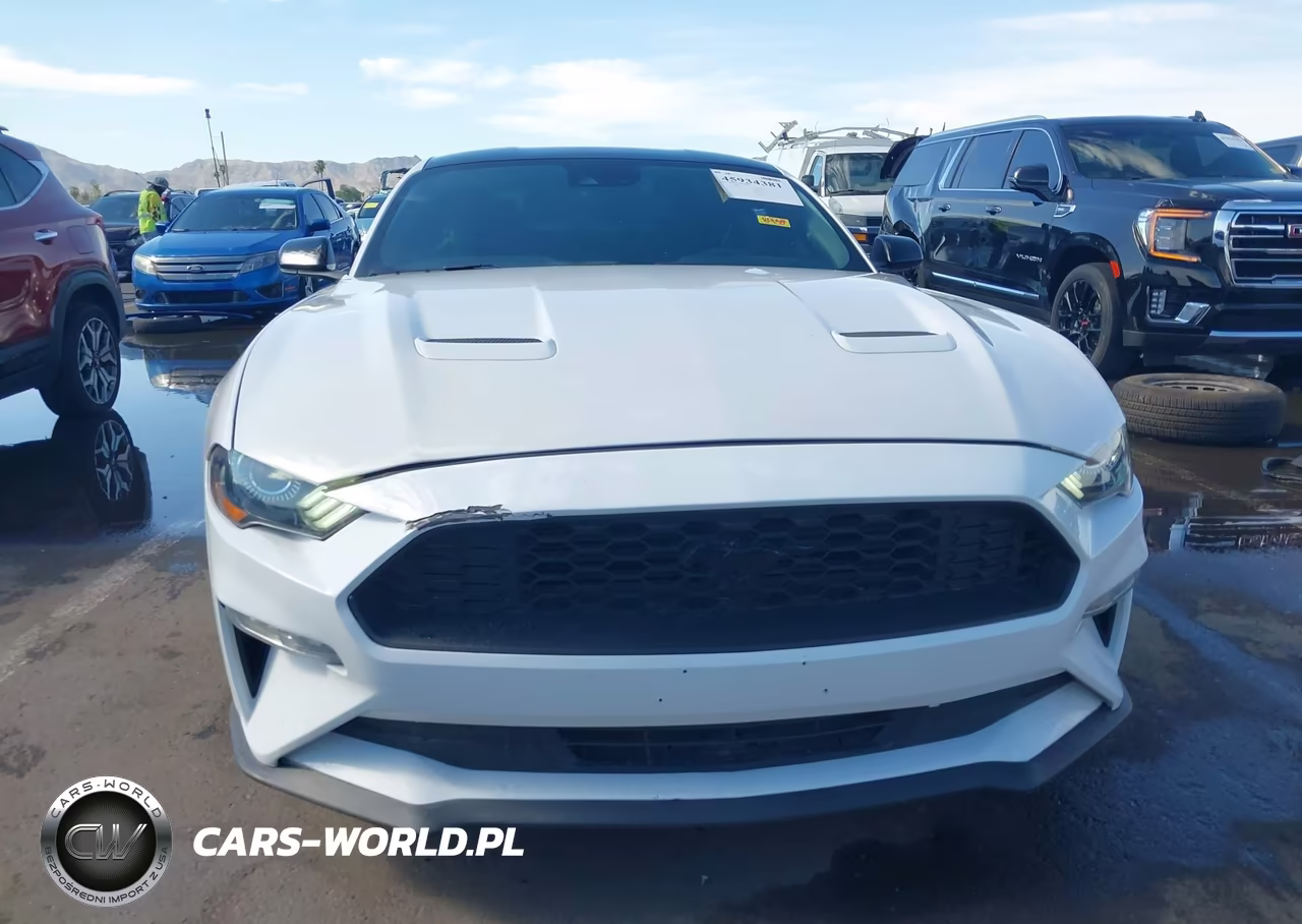 2021 Ford Mustang Ecoboost Fastback VIN:1FA6P8TH5M5106898 - 12