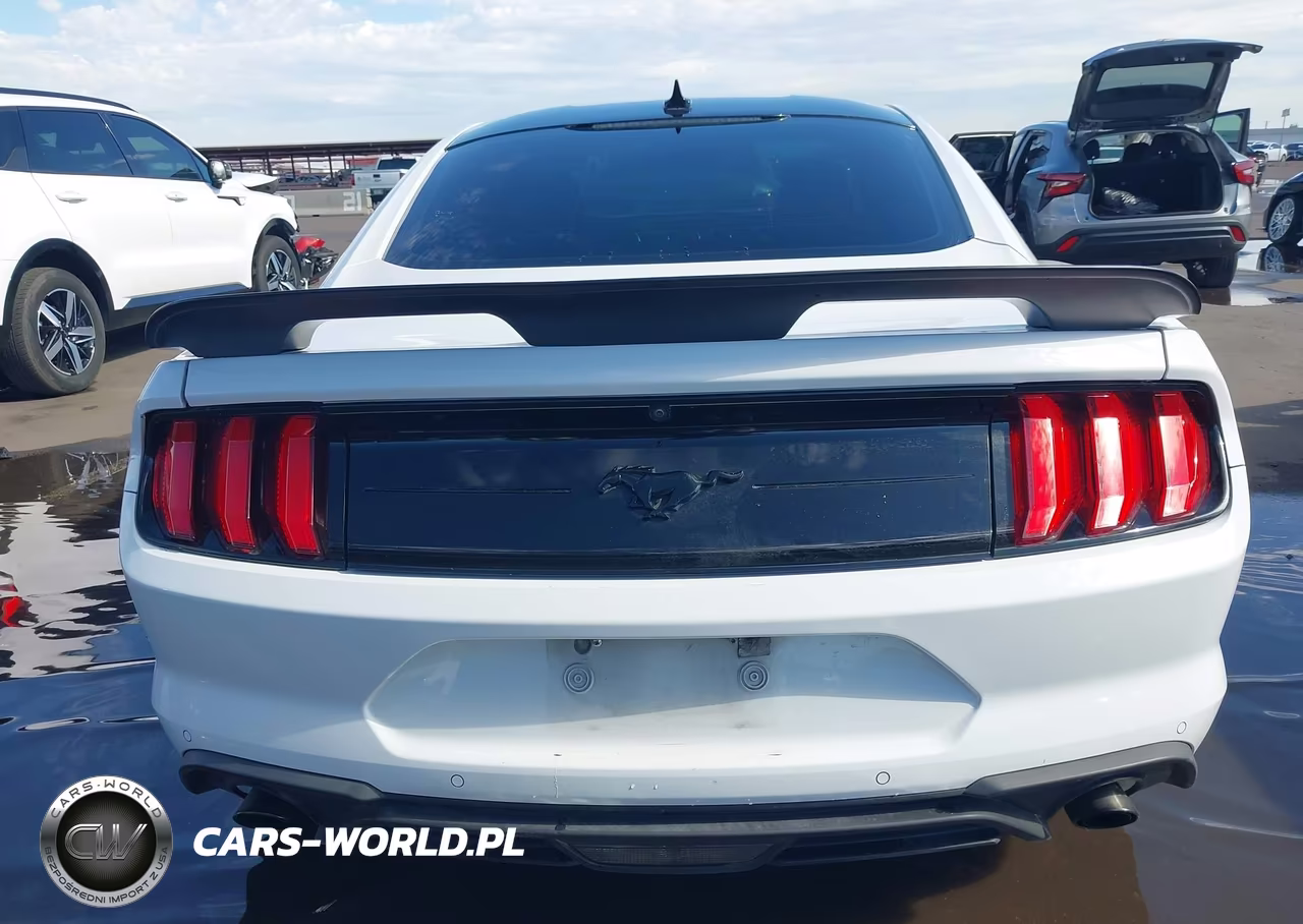 2021 Ford Mustang Ecoboost Fastback VIN:1FA6P8TH5M5106898 - 16