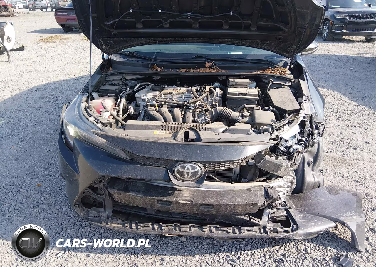 2020 Toyota Corolla Le VIN:5YFEPRAE3LP095387 - 10