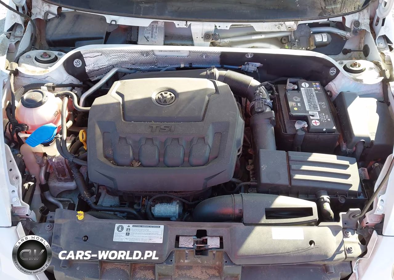 2019 Volkswagen Beetle 2.0T Final Edition Se-2.0T Final Edition Sel-2.0T S-2.0T Se VIN:3VW5DAAT8KM501935 - 10