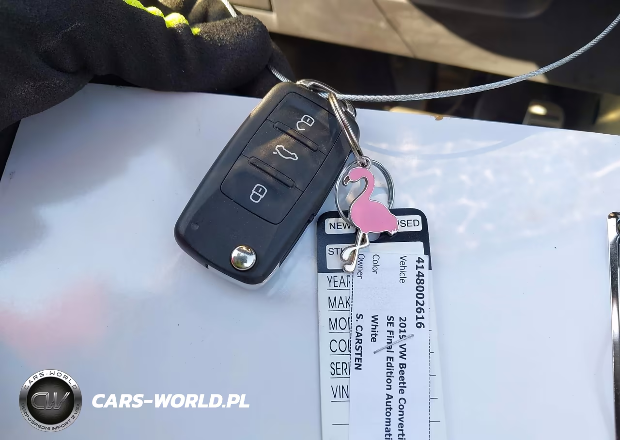 2019 Volkswagen Beetle 2.0T Final Edition Se-2.0T Final Edition Sel-2.0T S-2.0T Se VIN:3VW5DAAT8KM501935 - 11