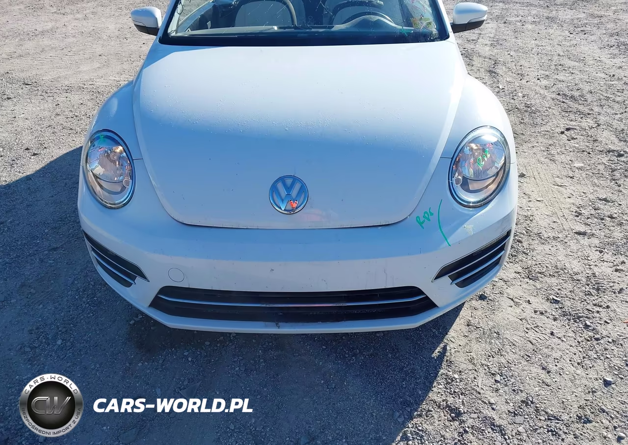2019 Volkswagen Beetle 2.0T Final Edition Se-2.0T Final Edition Sel-2.0T S-2.0T Se VIN:3VW5DAAT8KM501935 - 13