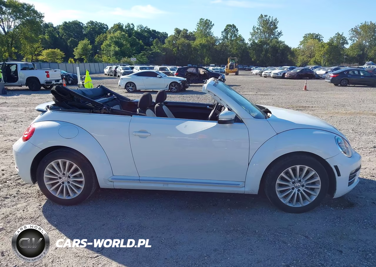 2019 Volkswagen Beetle 2.0T Final Edition Se-2.0T Final Edition Sel-2.0T S-2.0T Se VIN:3VW5DAAT8KM501935 - 14