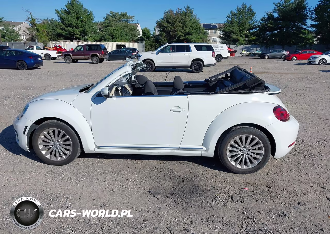 2019 Volkswagen Beetle 2.0T Final Edition Se-2.0T Final Edition Sel-2.0T S-2.0T Se VIN:3VW5DAAT8KM501935 - 15