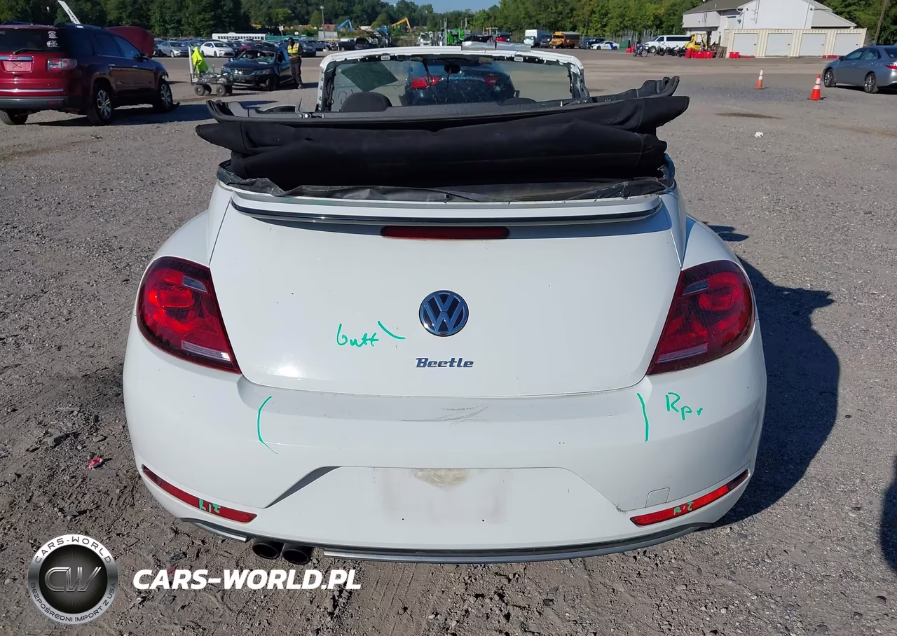 2019 Volkswagen Beetle 2.0T Final Edition Se-2.0T Final Edition Sel-2.0T S-2.0T Se VIN:3VW5DAAT8KM501935 - 17