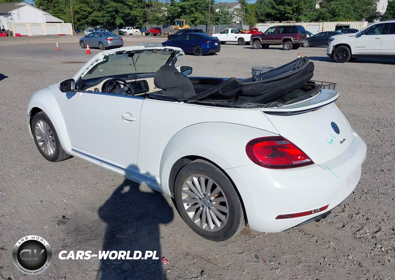 2019 Volkswagen Beetle 2.0T Final Edition Se-2.0T Final Edition Sel-2.0T S-2.0T Se VIN:3VW5DAAT8KM501935 - 3