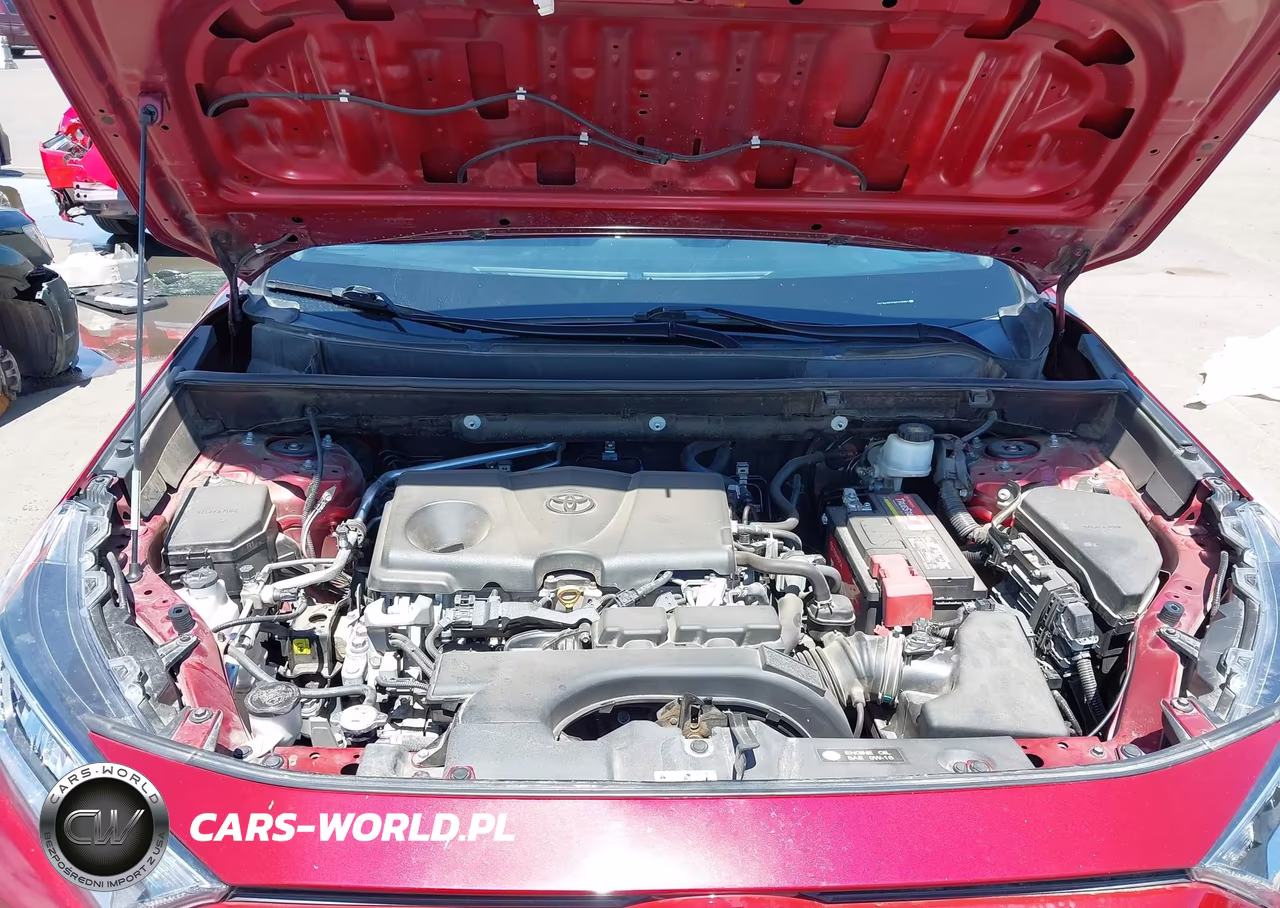 2019 Toyota Rav4 Xle VIN:2T3W1RFV2KC018983 - 10
