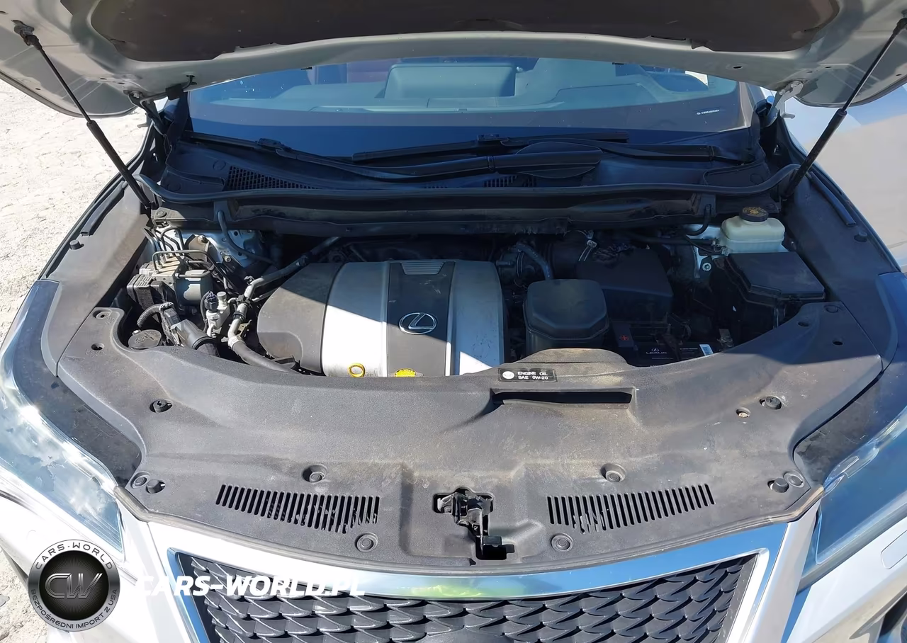 2016 Lexus Rx 350 F Sport VIN:2T2BZMCA0GC052878 - 10