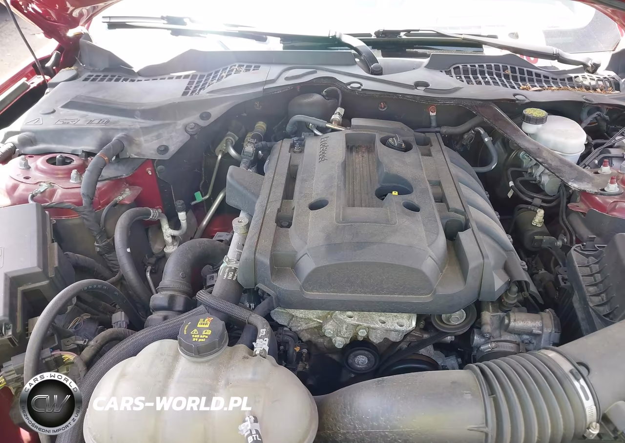 2016 Ford Mustang Ecoboost Premium VIN:1FATP8UH2G5207323 - 10