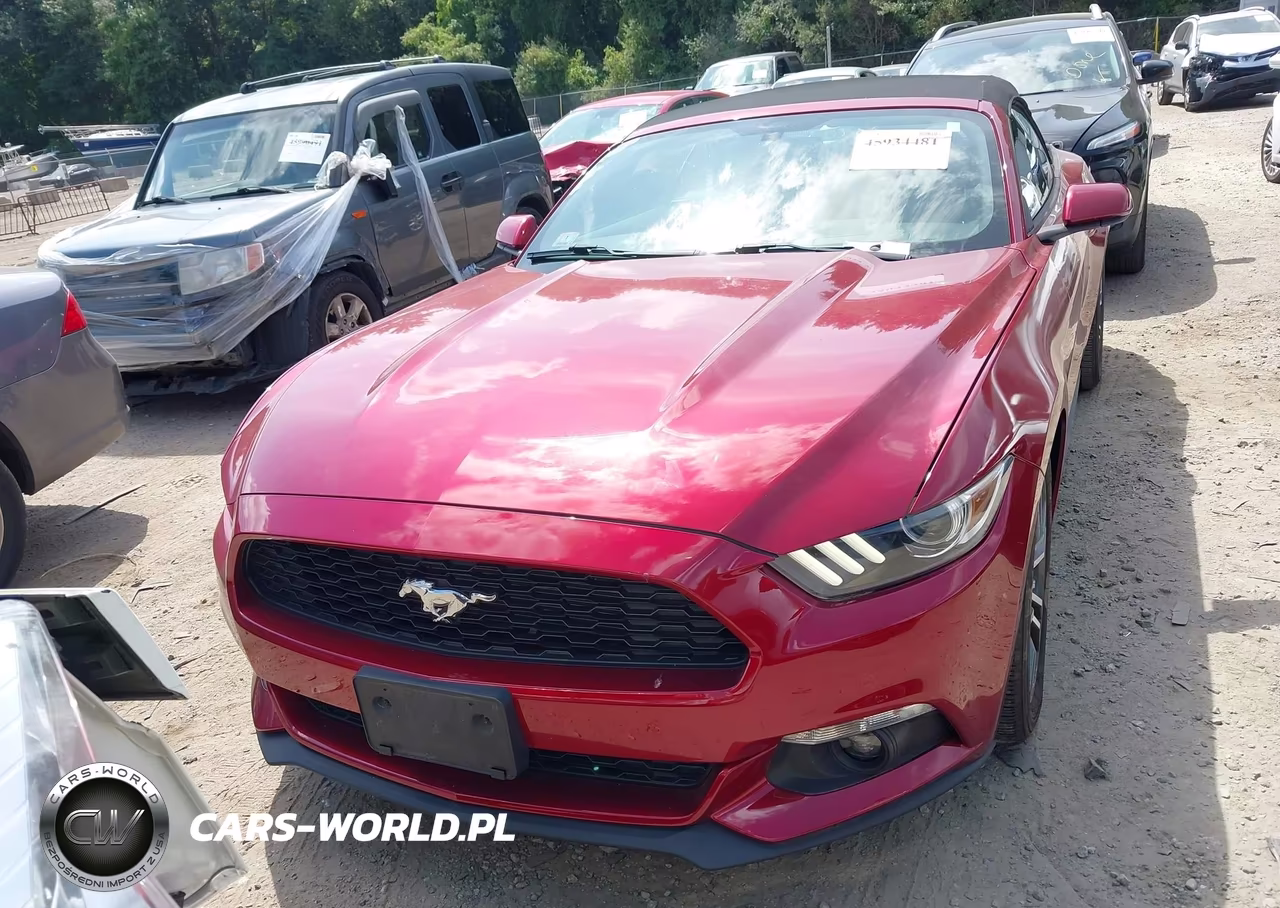 2016 Ford Mustang Ecoboost Premium VIN:1FATP8UH2G5207323 - 12