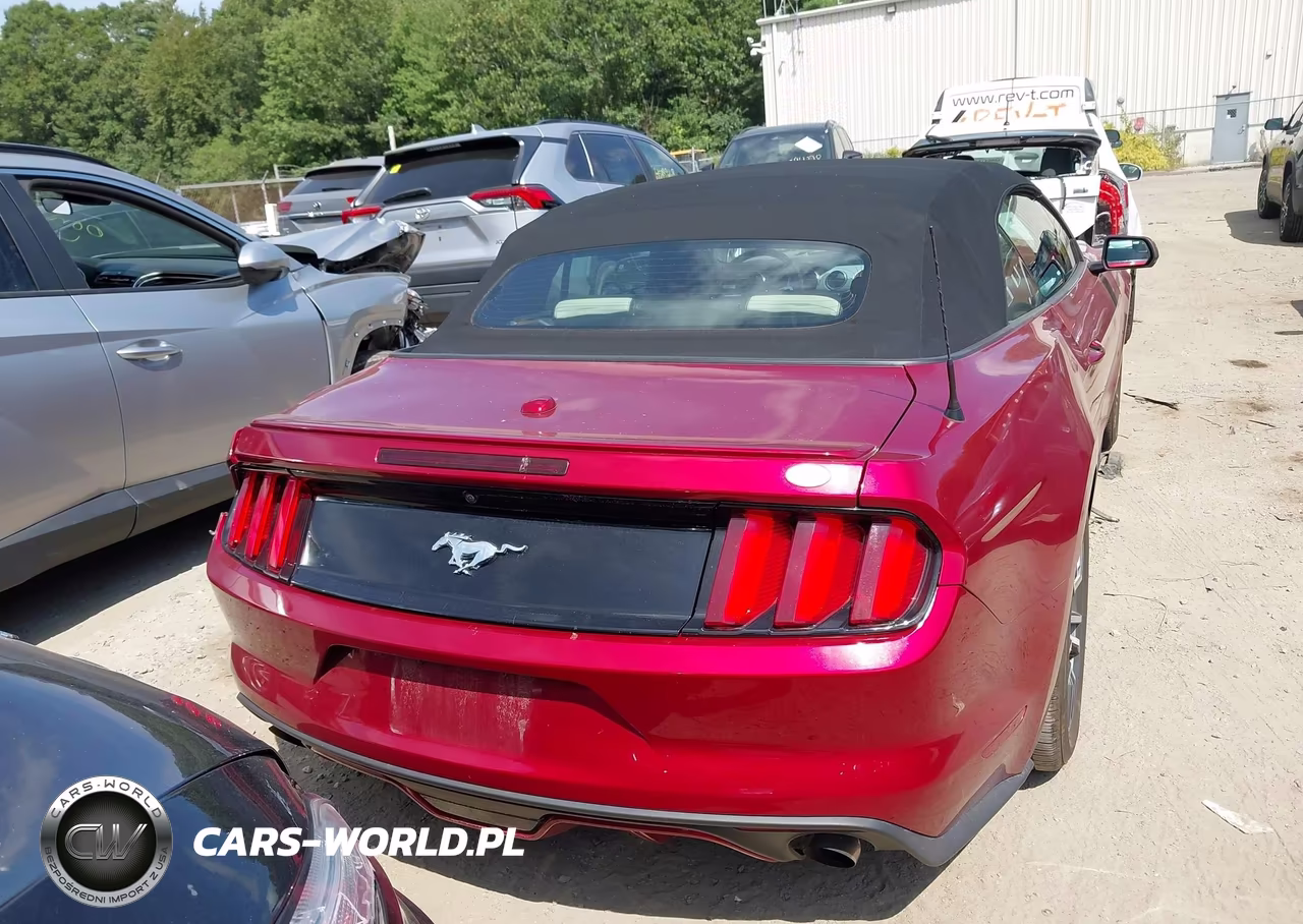 2016 Ford Mustang Ecoboost Premium VIN:1FATP8UH2G5207323 - 16