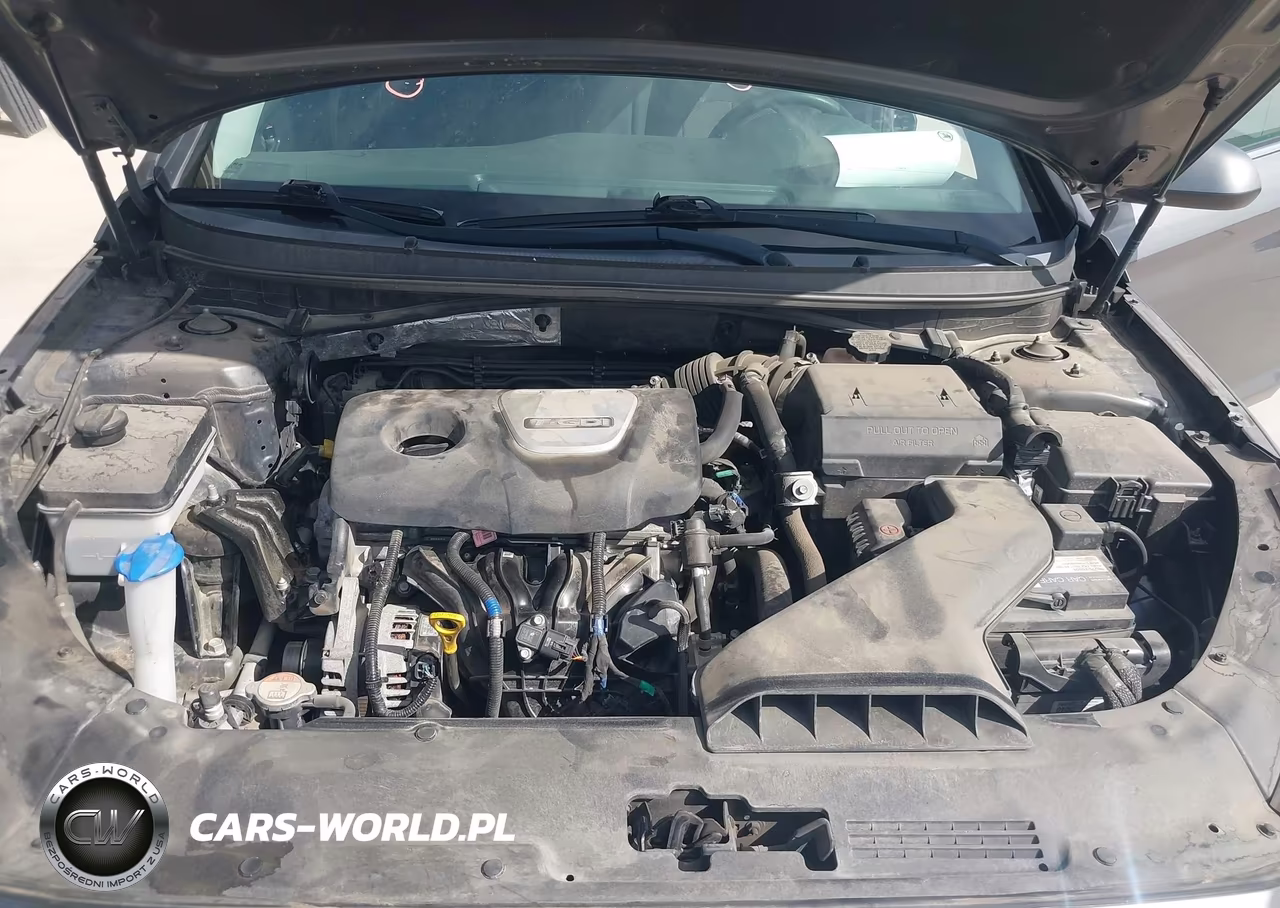 2019 Hyundai Sonata Eco VIN:5NPE24AA4KH801146 - 10