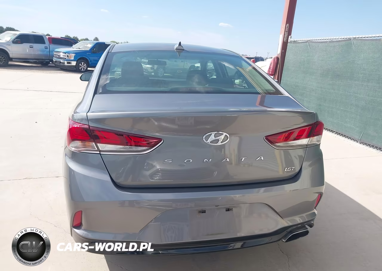 2019 Hyundai Sonata Eco VIN:5NPE24AA4KH801146 - 19