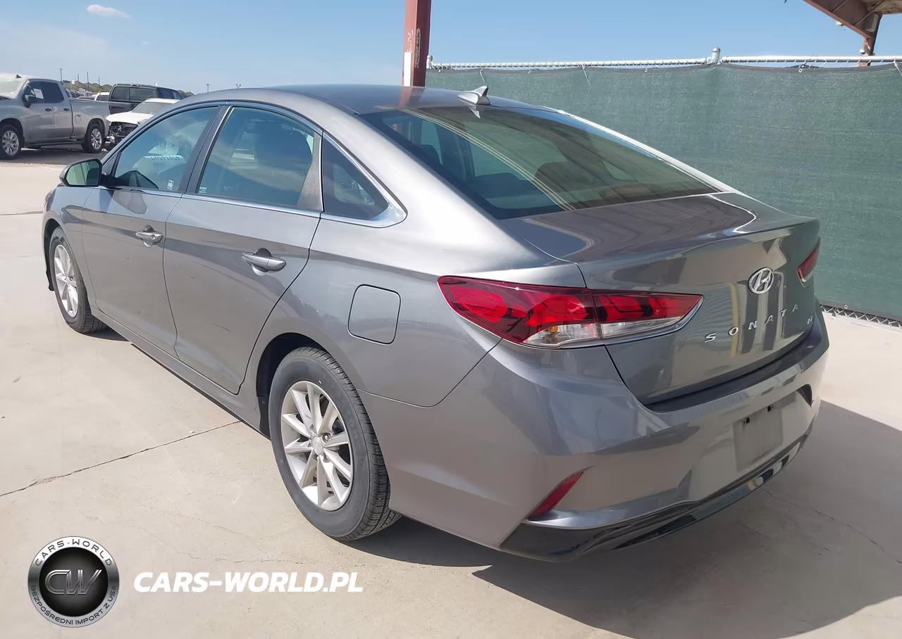 2019 Hyundai Sonata Eco VIN:5NPE24AA4KH801146 - 3
