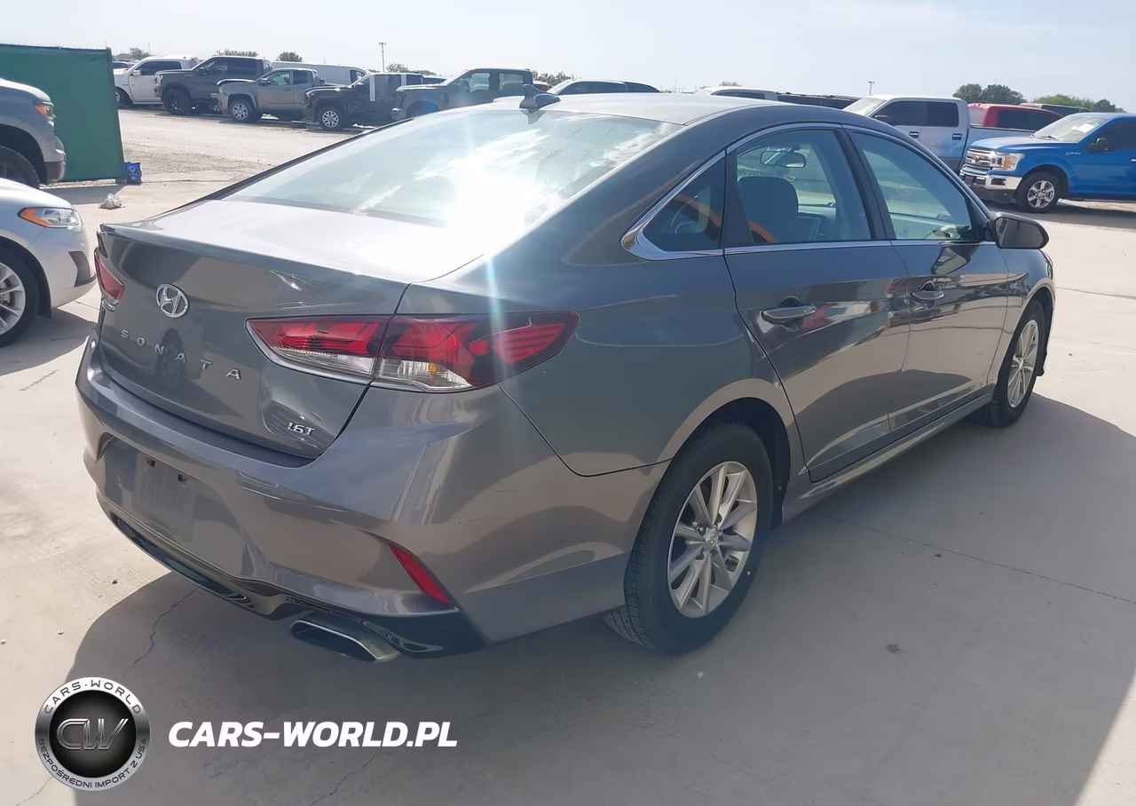 2019 Hyundai Sonata Eco VIN:5NPE24AA4KH801146 - 4