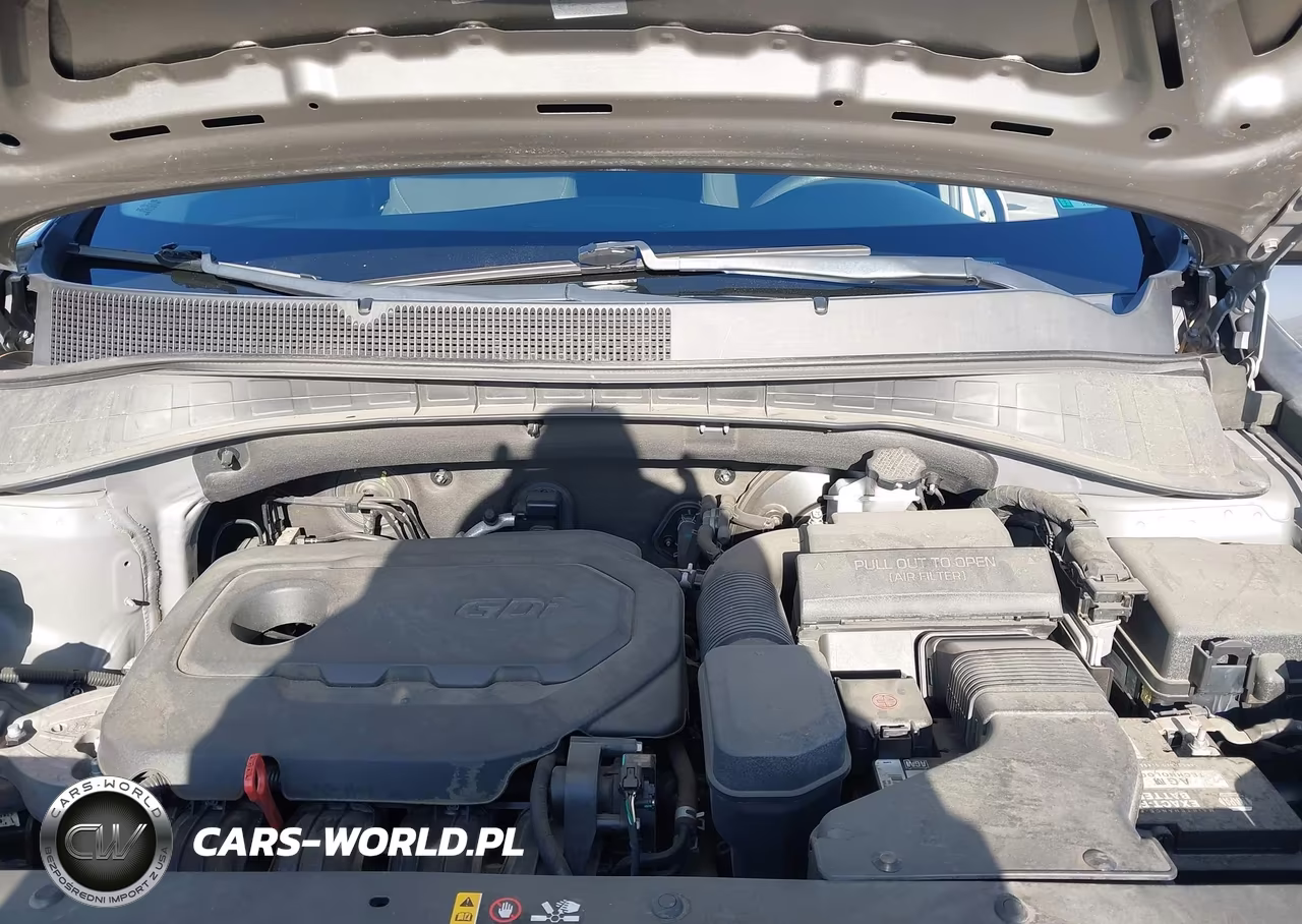 2019 Kia Sorento 2.4L Lx VIN:5XYPG4A3XKG511528 - 10