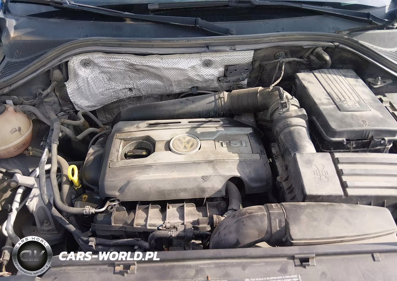 2009 Volkswagen Tiguan Se-Sel VIN:WVGBV75N69W000839 - 10