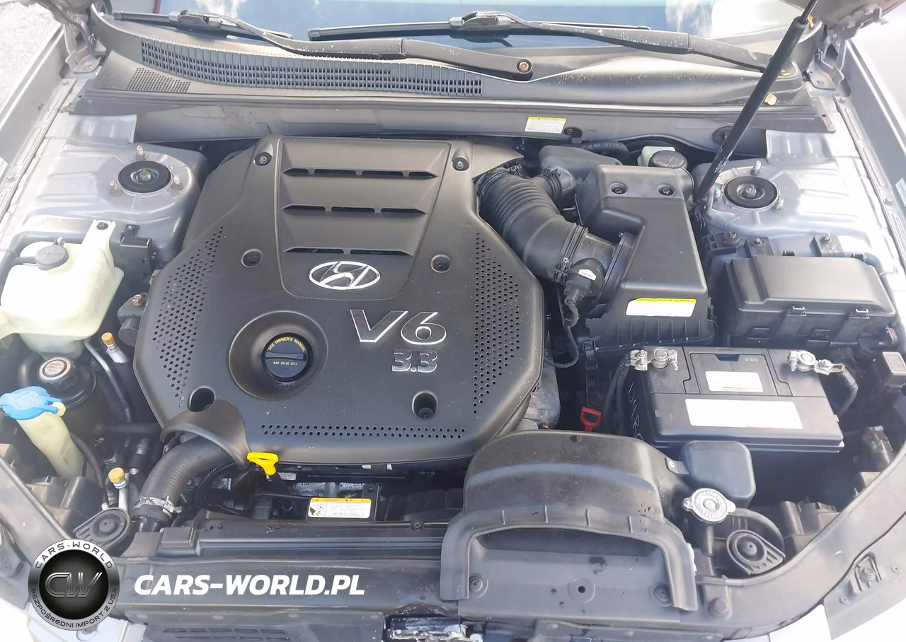 2008 Hyundai Sonata Limited V6-Se V6 VIN:5NPEU46F38H395142 - 10