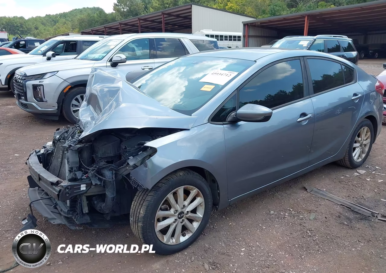 2017 Kia Forte S VIN:3KPFL4A7XHE102039 - 2