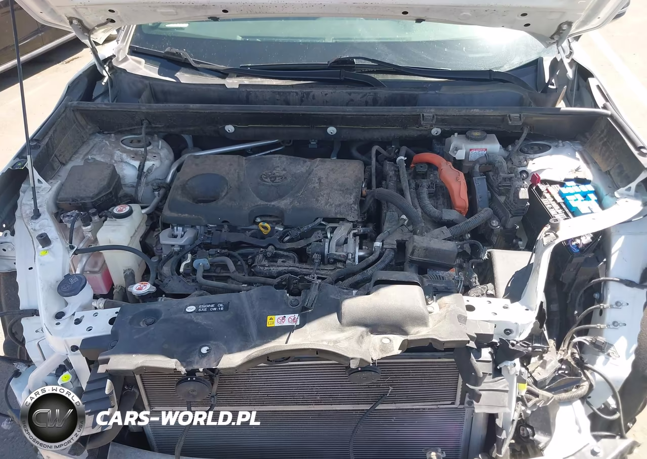 2019 Toyota Rav4 Hybrid Xse VIN:JTMEWRFV3KD516313 - 10