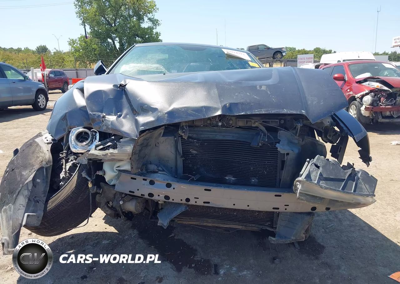 2014 Dodge Charger R-T 100Th Anniversary VIN:2C3CDXCT1EH318734 - 11
