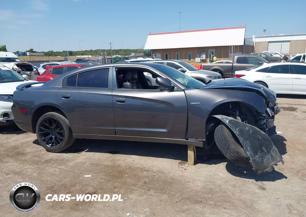 2014 Dodge Charger R-T 100Th Anniversary VIN:2C3CDXCT1EH318734 - 12
