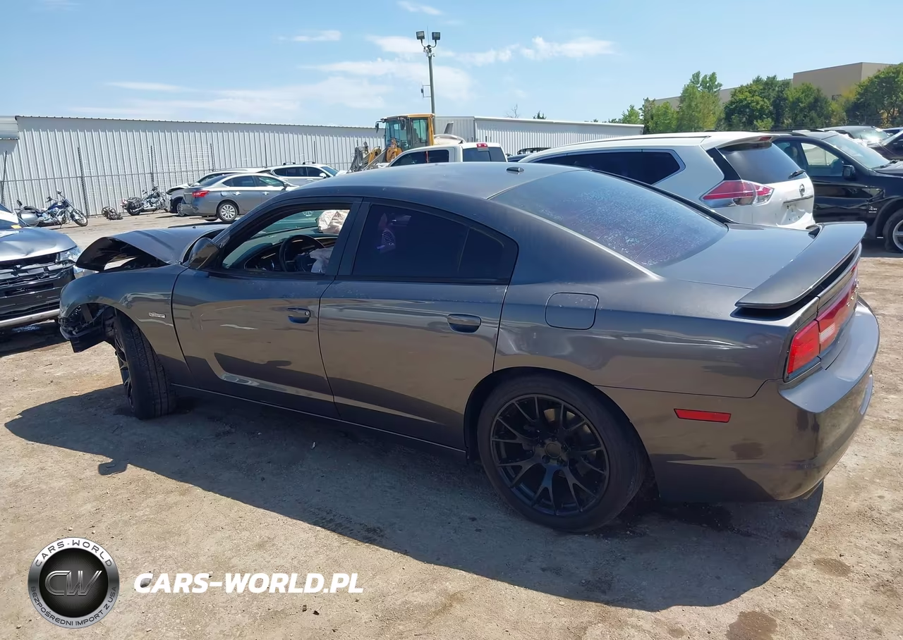 2014 Dodge Charger R-T 100Th Anniversary VIN:2C3CDXCT1EH318734 - 13