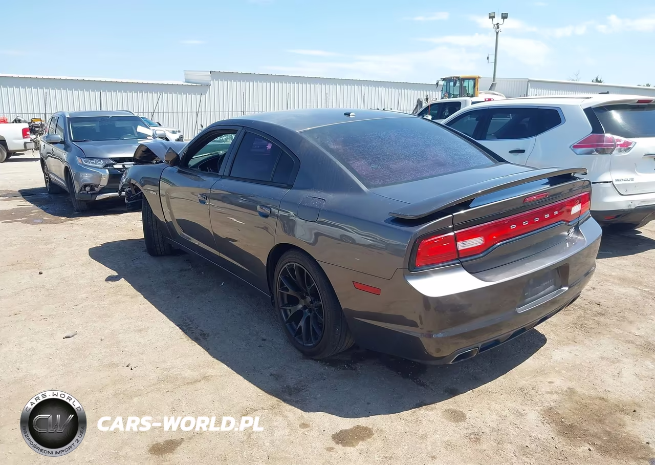 2014 Dodge Charger R-T 100Th Anniversary VIN:2C3CDXCT1EH318734 - 3