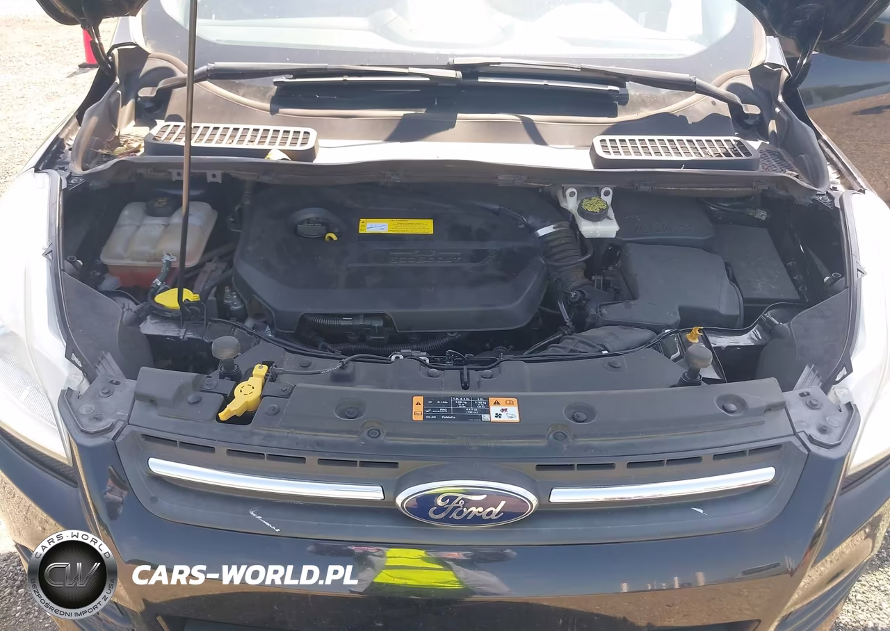 2016 Ford Escape Se VIN:1FMCU0GX1GUC23747 - 10