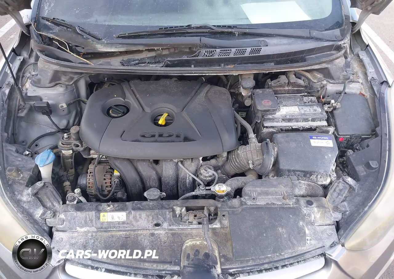 2014 Hyundai Elantra Sport VIN:KMHDH4AH7EU171104 - 10