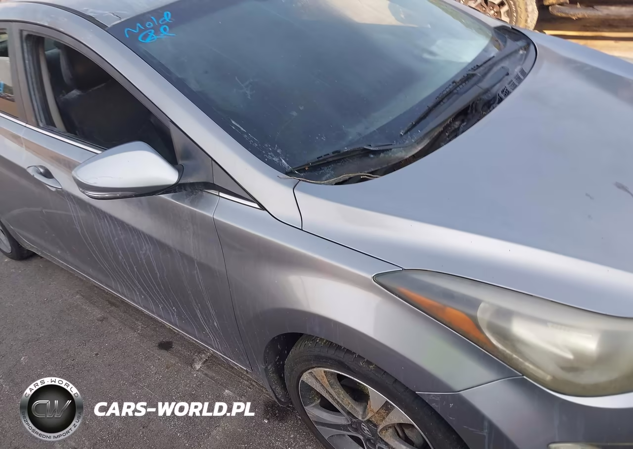 2014 Hyundai Elantra Sport VIN:KMHDH4AH7EU171104 - 12