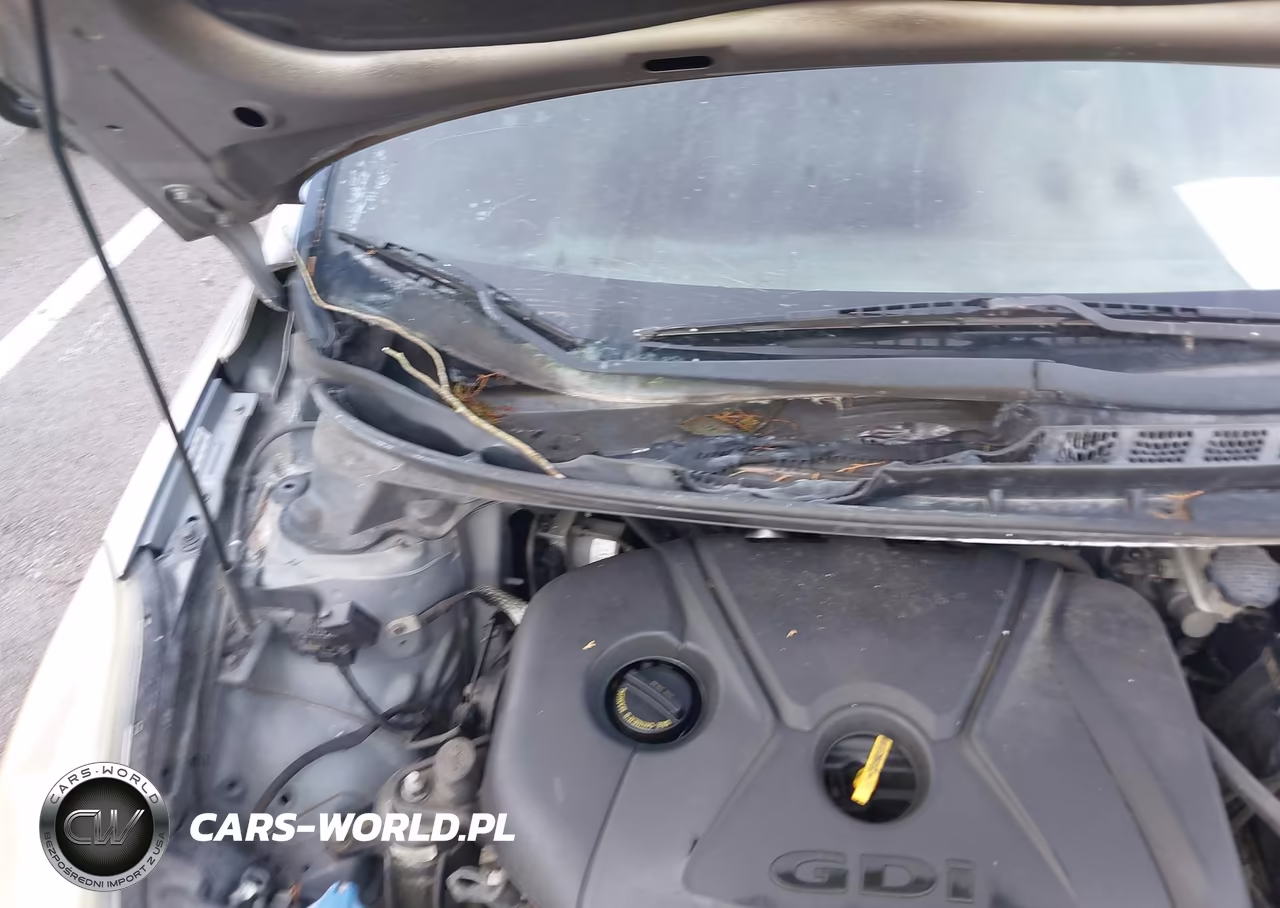 2014 Hyundai Elantra Sport VIN:KMHDH4AH7EU171104 - 14