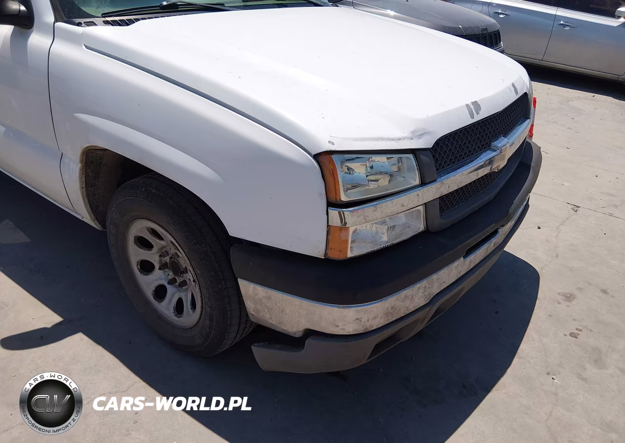2005 Chevrolet Silverado 1500 Work Truck VIN:1GCEC14Z65Z303024 - 6