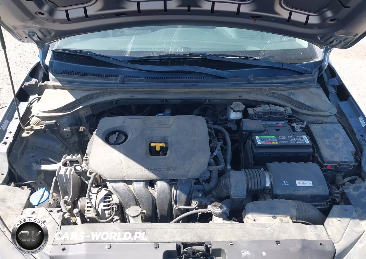 2019 Hyundai Elantra Se VIN:KMHD74LF0KU823961 - 10