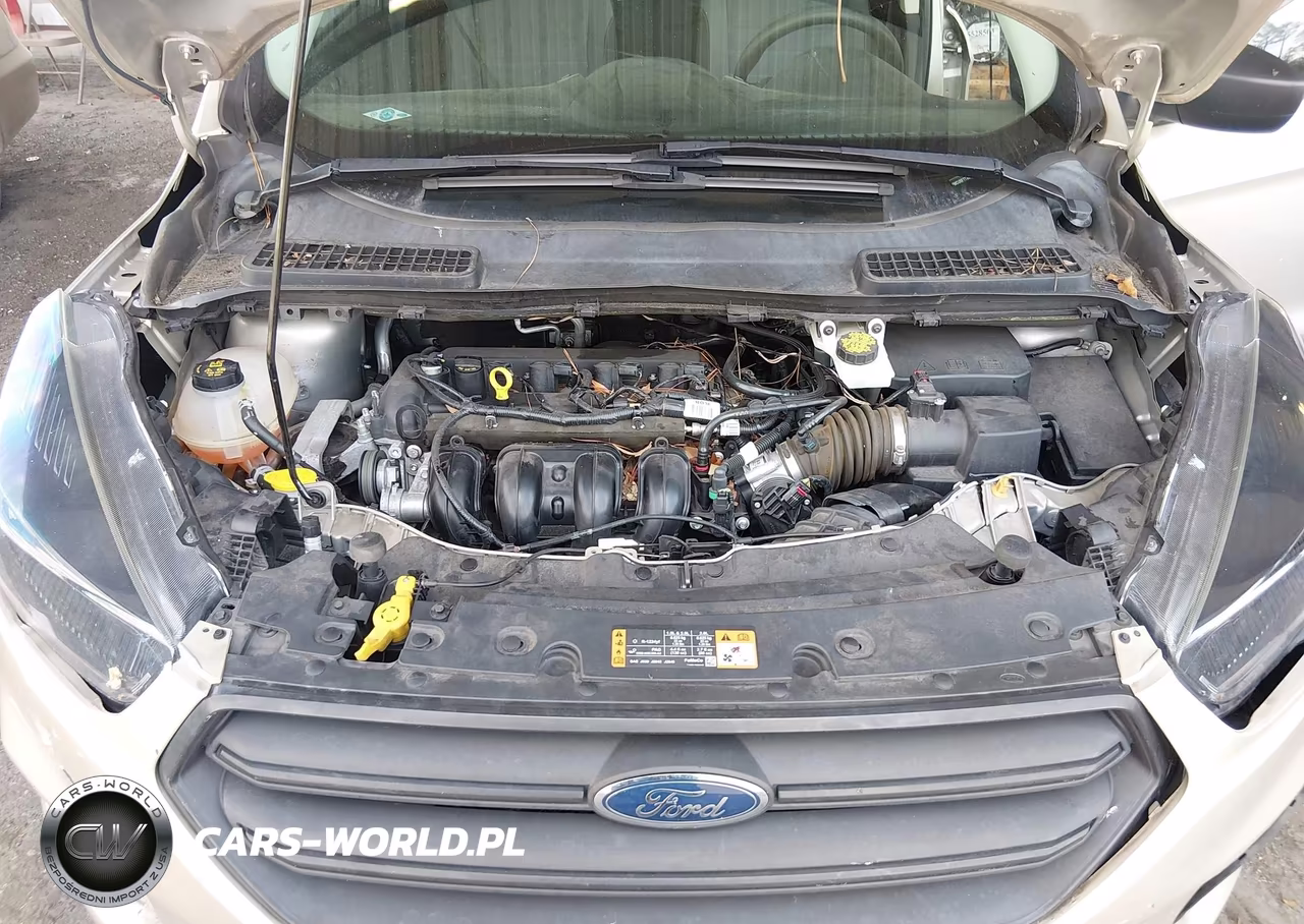 2018 Ford Escape S VIN:1FMCU0F77JUD54335 - 10