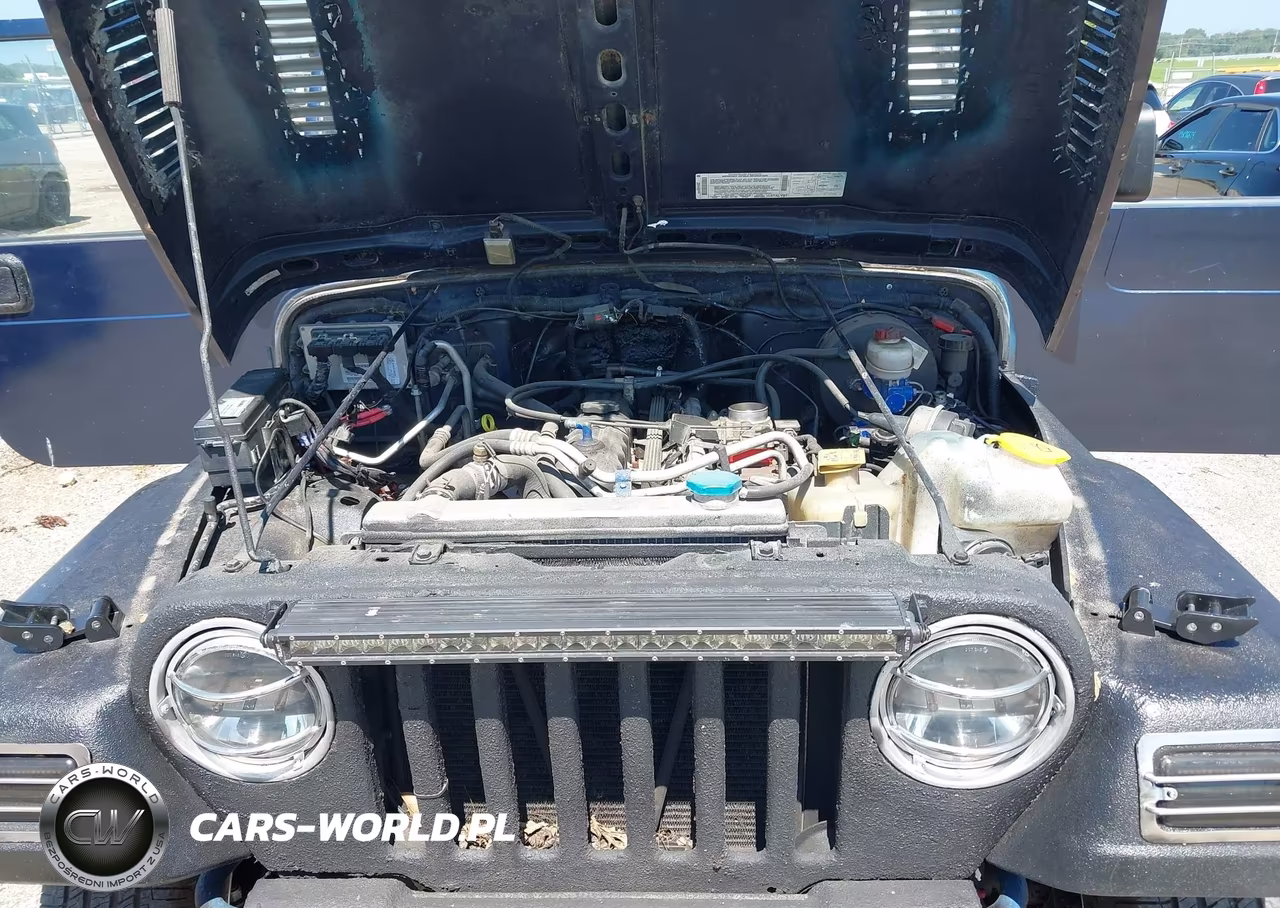 2003 Jeep Wrangler Sport VIN:1J4FA49S33P307509 - 10