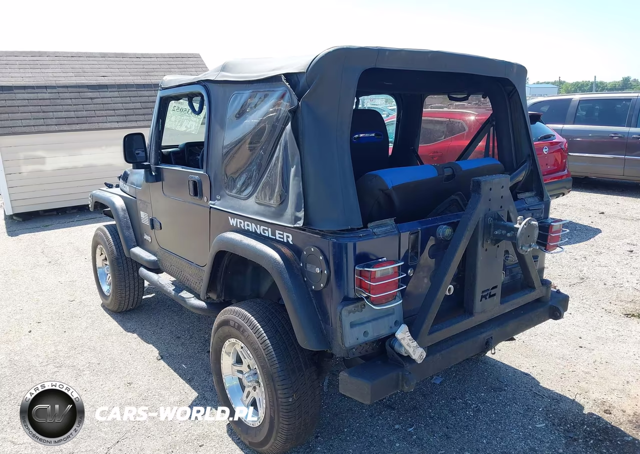 2003 Jeep Wrangler Sport VIN:1J4FA49S33P307509 - 3