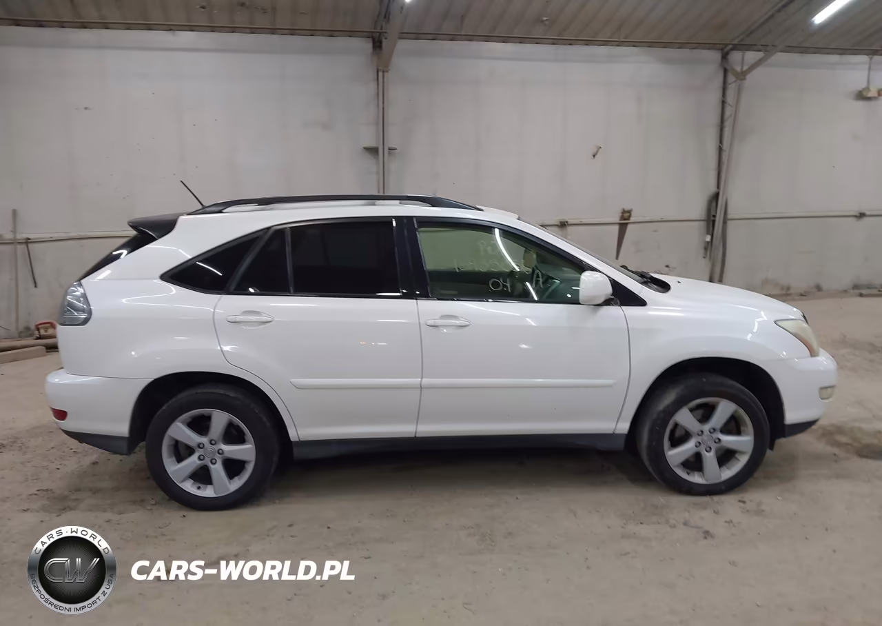 2004 Lexus Rx 330 VIN:JTJHA31U340034097 - 13