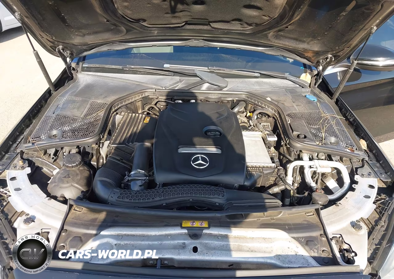 2017 Mercedes-Benz C 300 VIN:55SWF4JB1HU219447 - 10