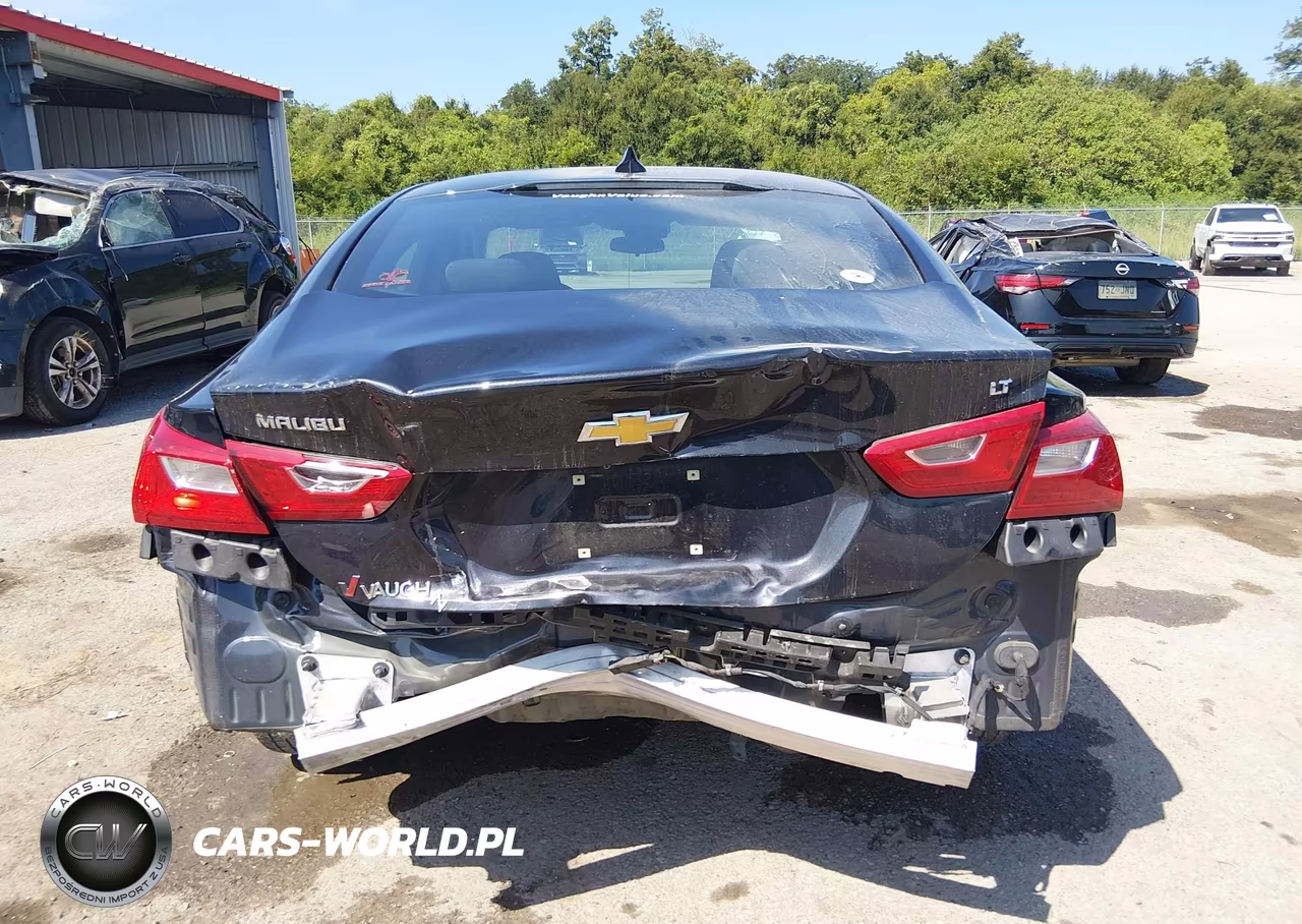 2023 Chevrolet Malibu Fwd 1Lt VIN:1G1ZD5ST7PF238119 - 17