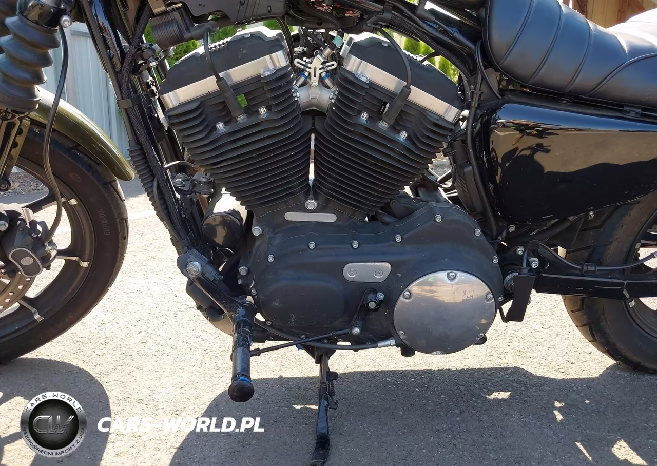 2016 Harley-Davidson Xl883 Iron 883 VIN:1HD4LE21XGC404474 - 9