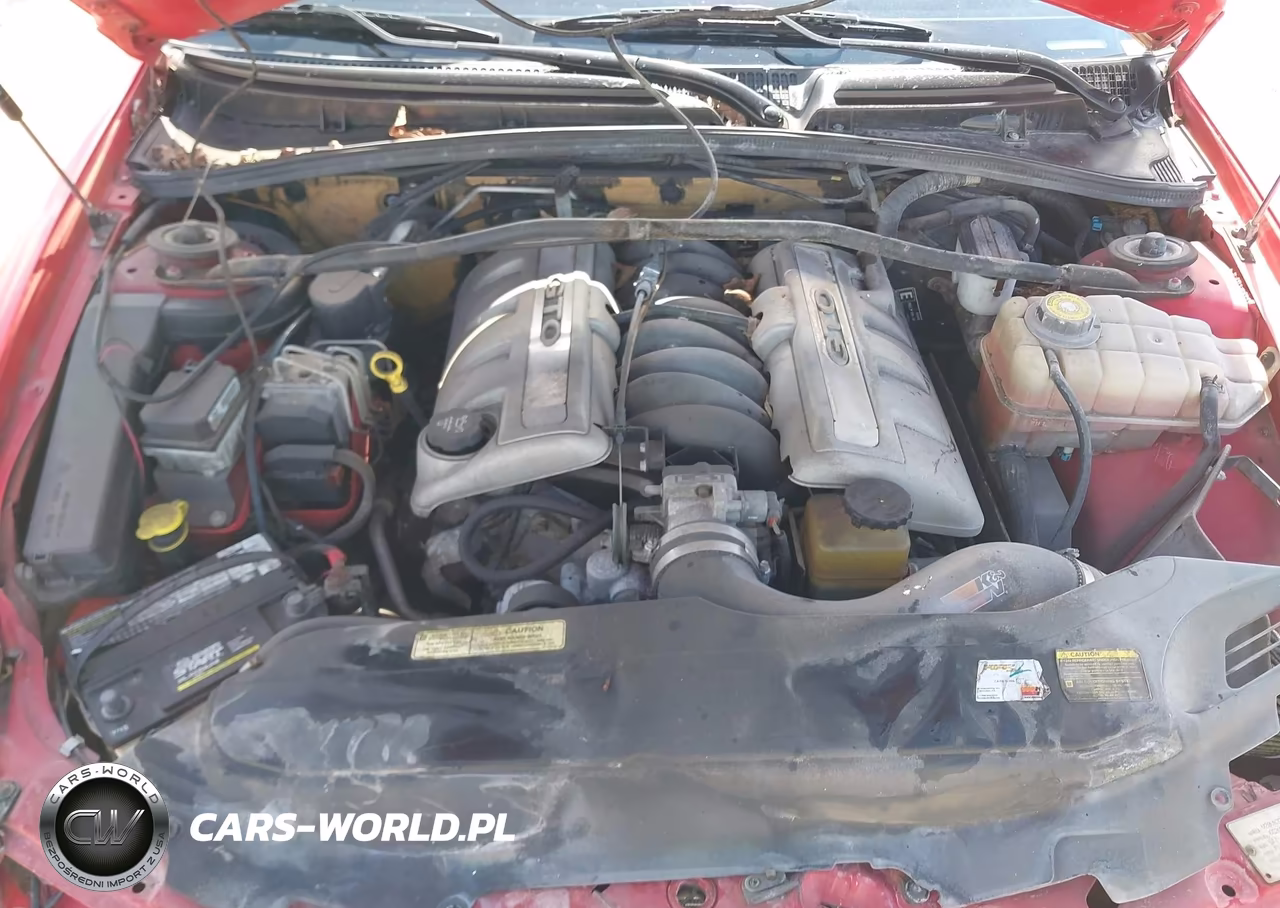 2004 Pontiac Gto VIN:6G2VX12G54L236222 - 10